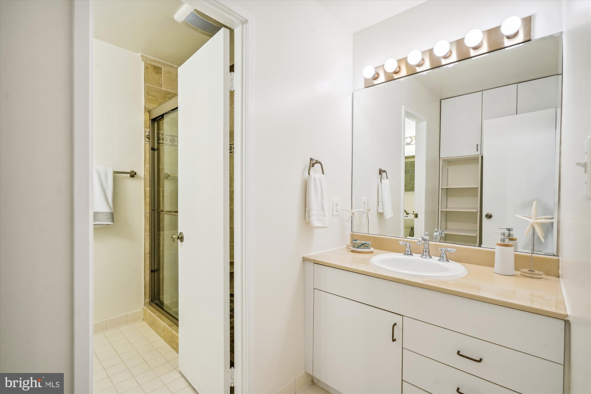 11346 Orchard Lane Reston, VA 20190 - Photo 19 of 54 Primary Bath