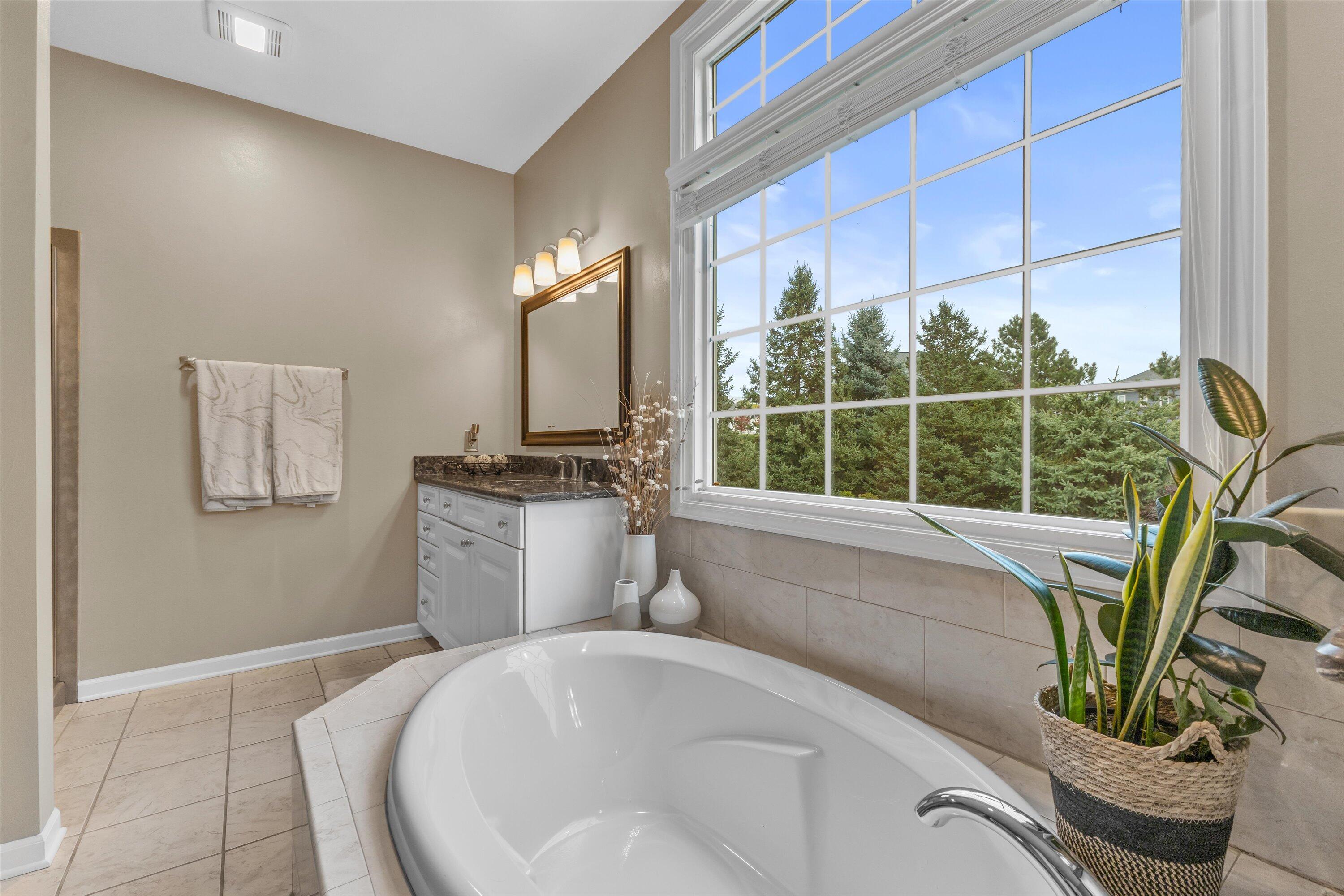 9611 82nd Place Pleasant Prairie, WI 53158 - Photo 20 of 52 Jetted soaking tub