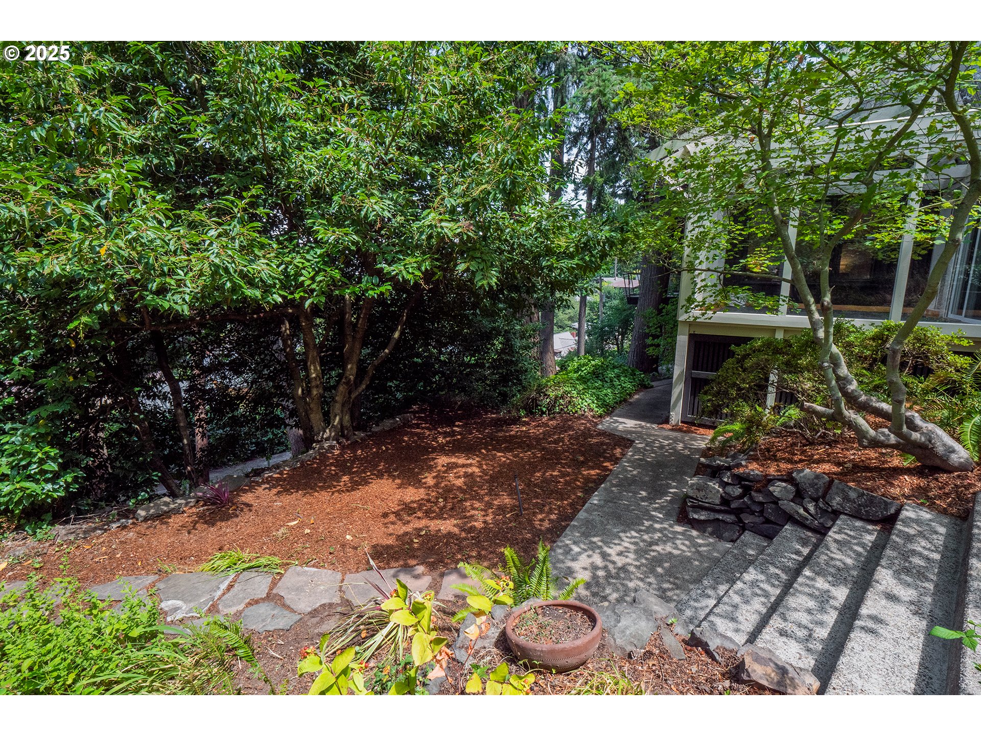 275 Sunset Drive Eugene, OR 97403 - Photo 35 of 45 a view of a backyard with plants and large trees