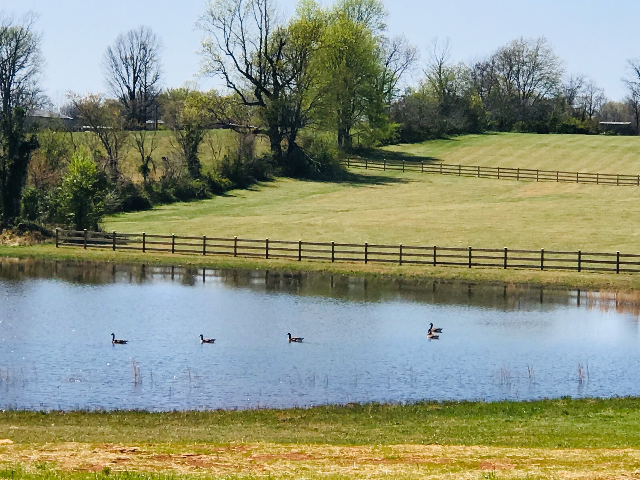 576 Womack Road Bethpage, TN 37022 - Photo 3 of 7