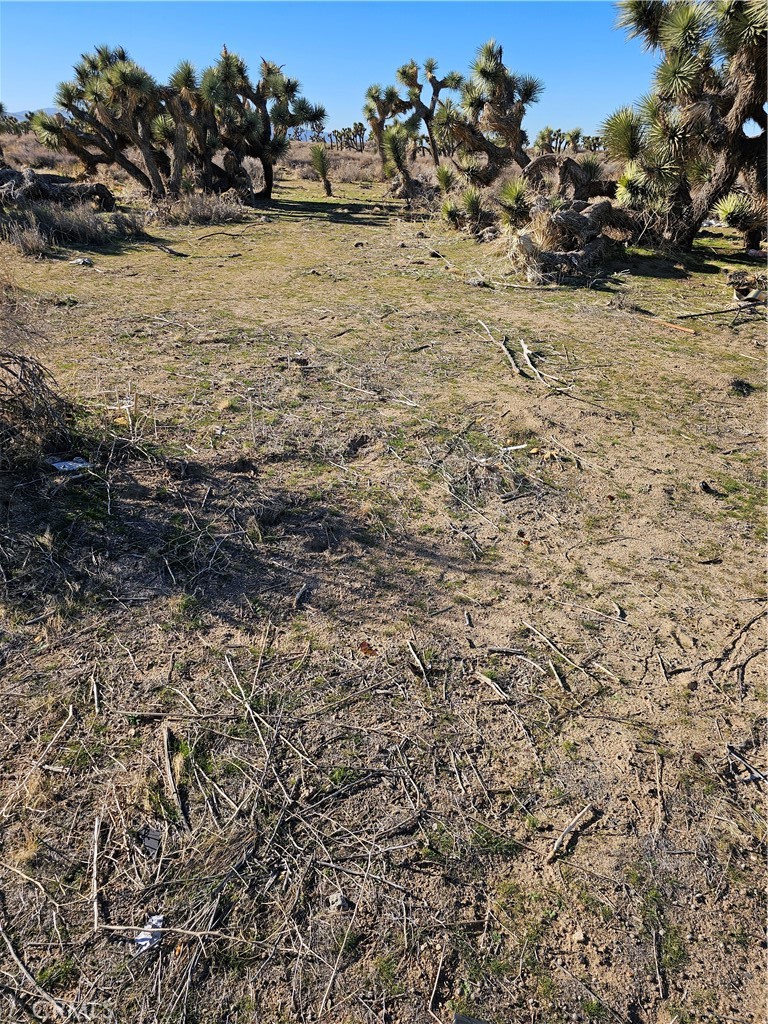 a view of ocean beach