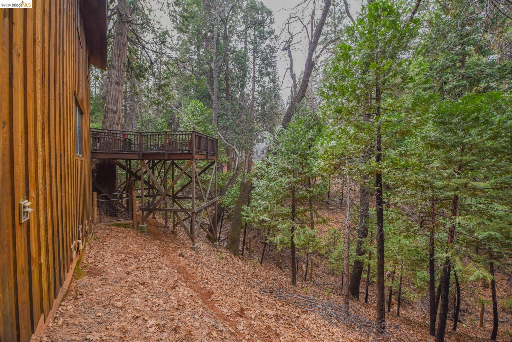 24132 Awahanee Road Sonora, CA 95370 - Photo 30 of 39 a view of a forest
