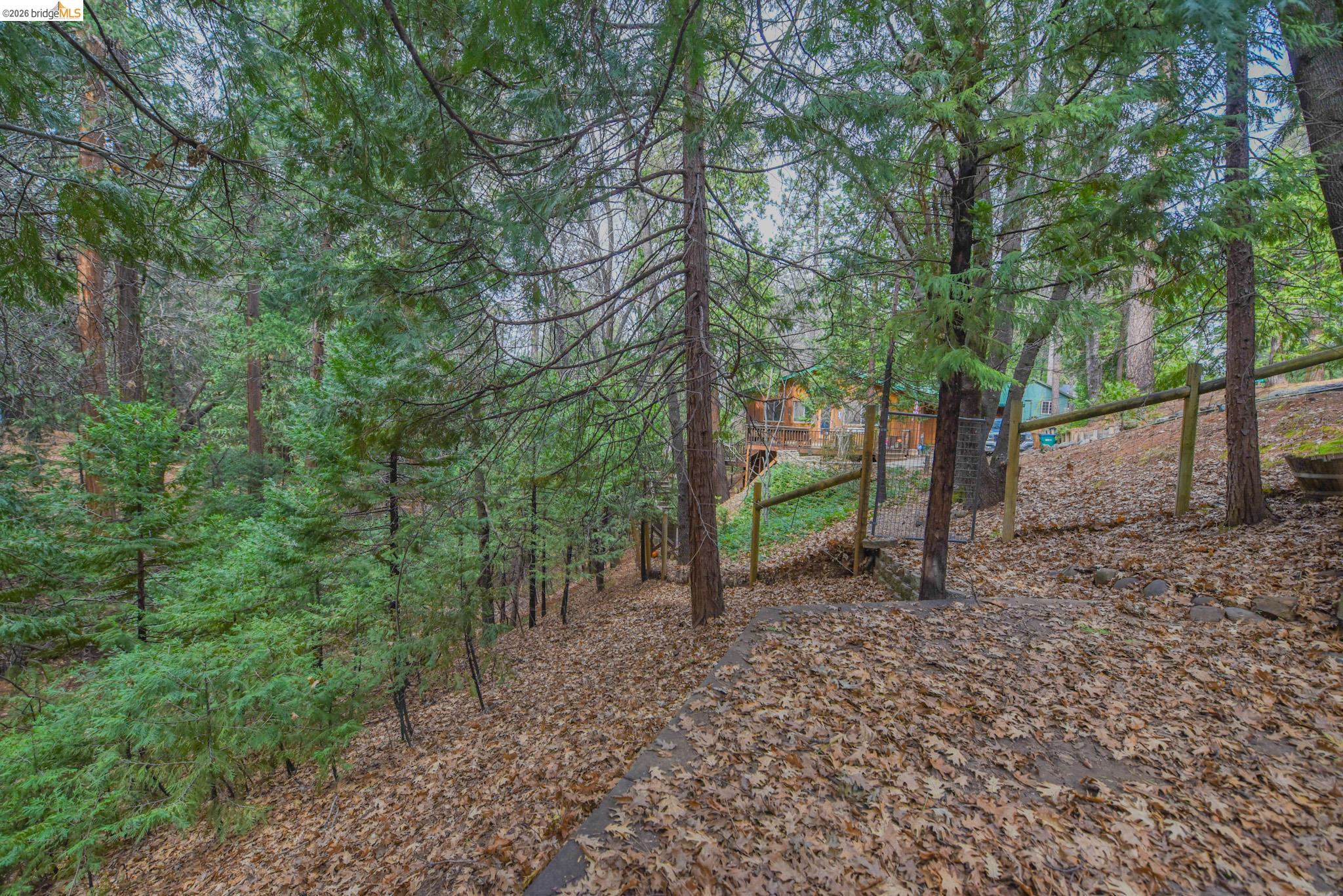 24132 Awahanee Road Sonora, CA 95370 - Photo 36 of 39 a green field with lots of trees in the background