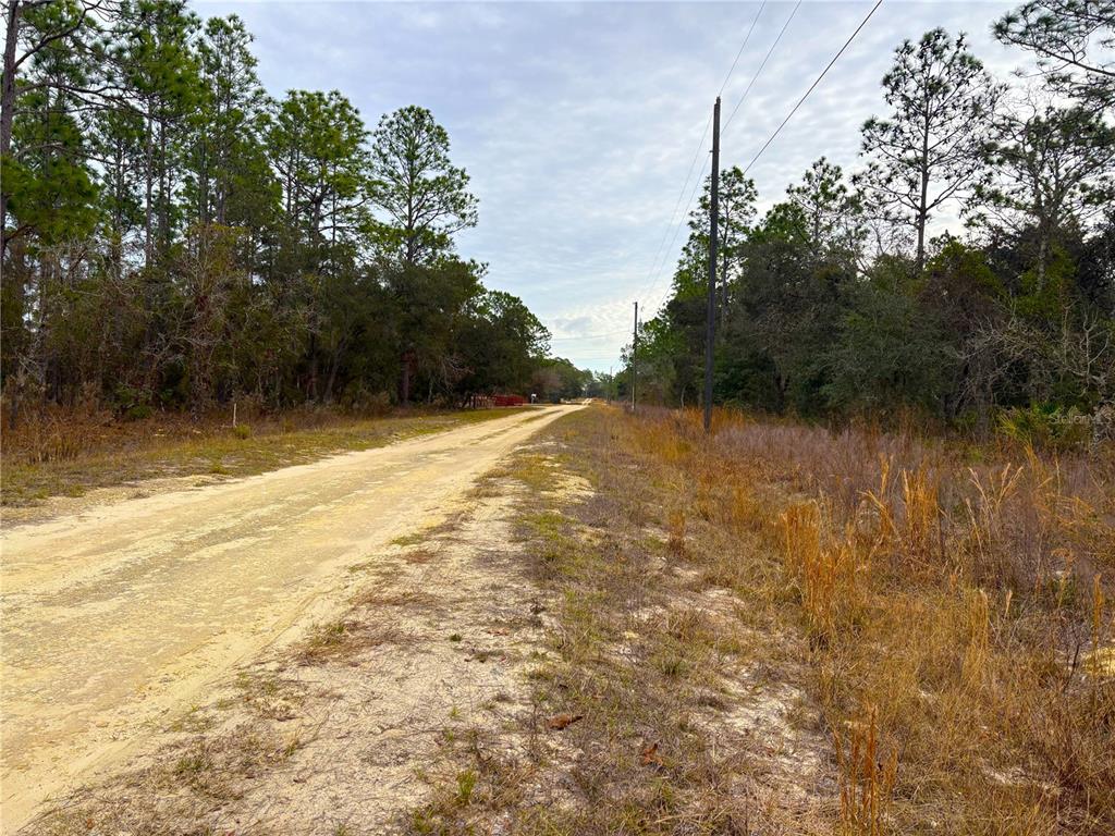 Tbd Southwest 78th Street Dunnellon, FL 34432 - Photo 5 of 6 a view of swimming pool with an outdoor space