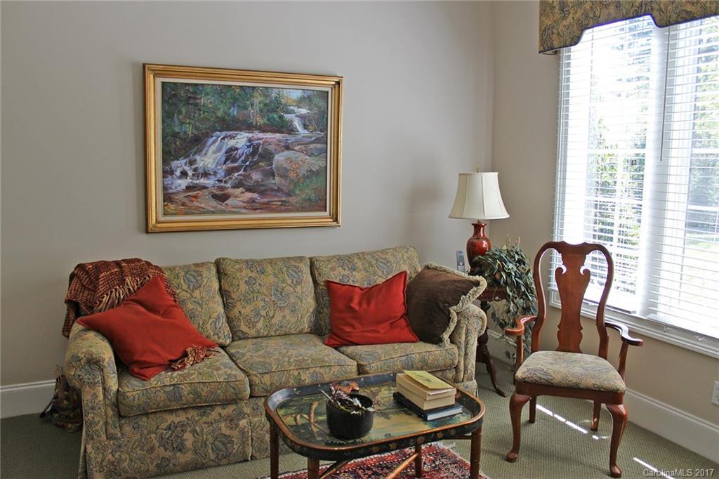219 Camptown Road, Unit V44 Brevard, NC 28712 - Photo 8 of 24 Gallery Image 8