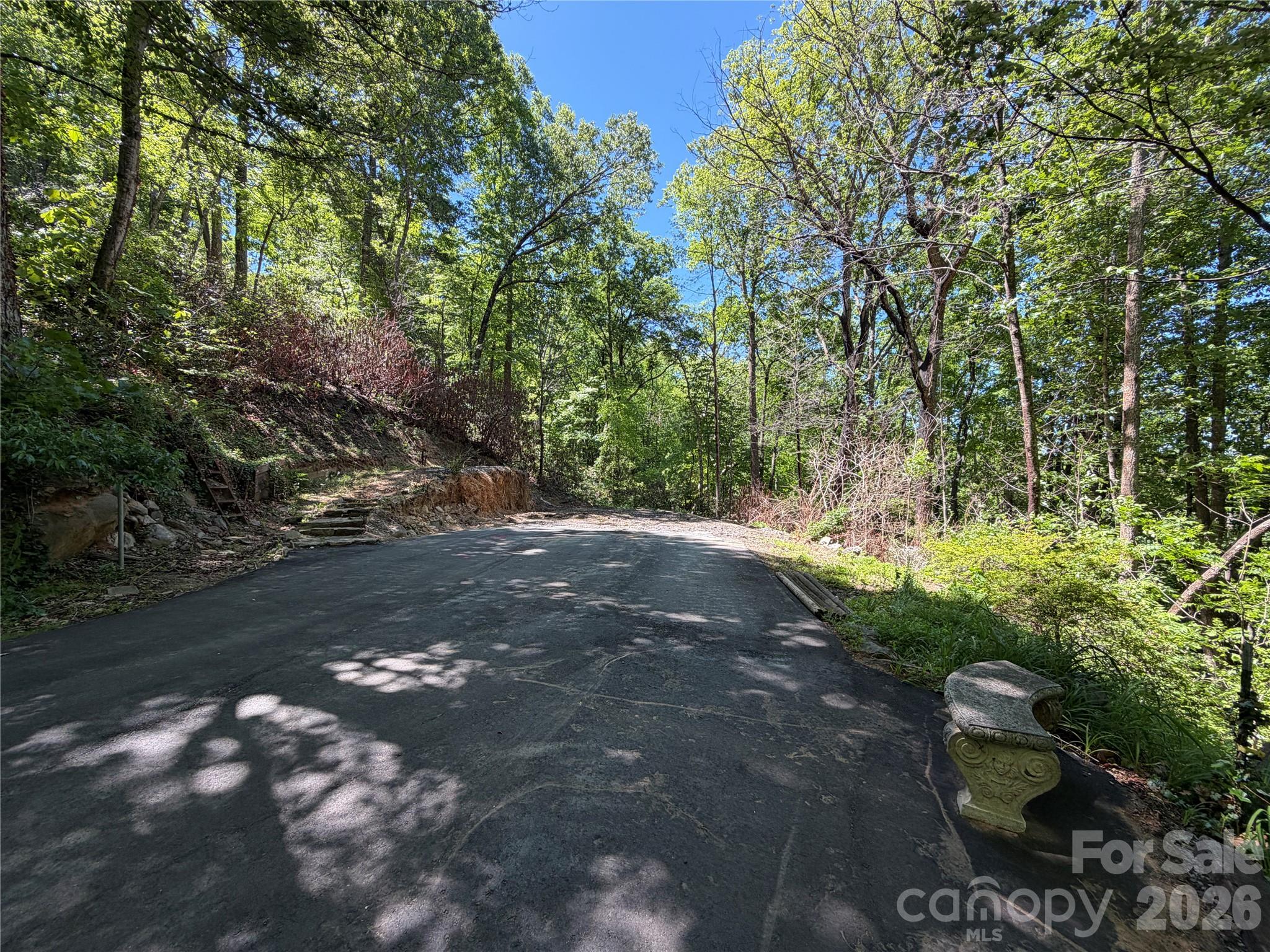 25 Buck Ridge Road Fairview, NC 28730 - Photo 4 of 27 Gallery Image 4