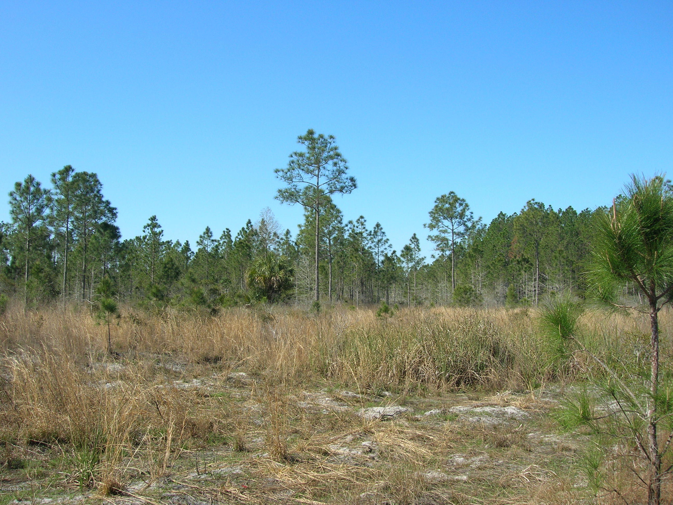 0 Southwest 100th Place Cedar Key, FL 32625 - Photo 14 of 16 DSCN6546