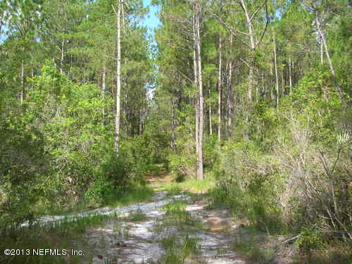 0 Southwest 100th Place Cedar Key, FL 32625 - Photo 4 of 16 5