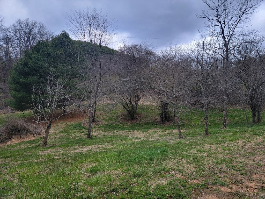 Tbd Ivanhoe Road, Unit 169A Fries, VA 24330 - Photo 6 of 6 Gallery Image 6