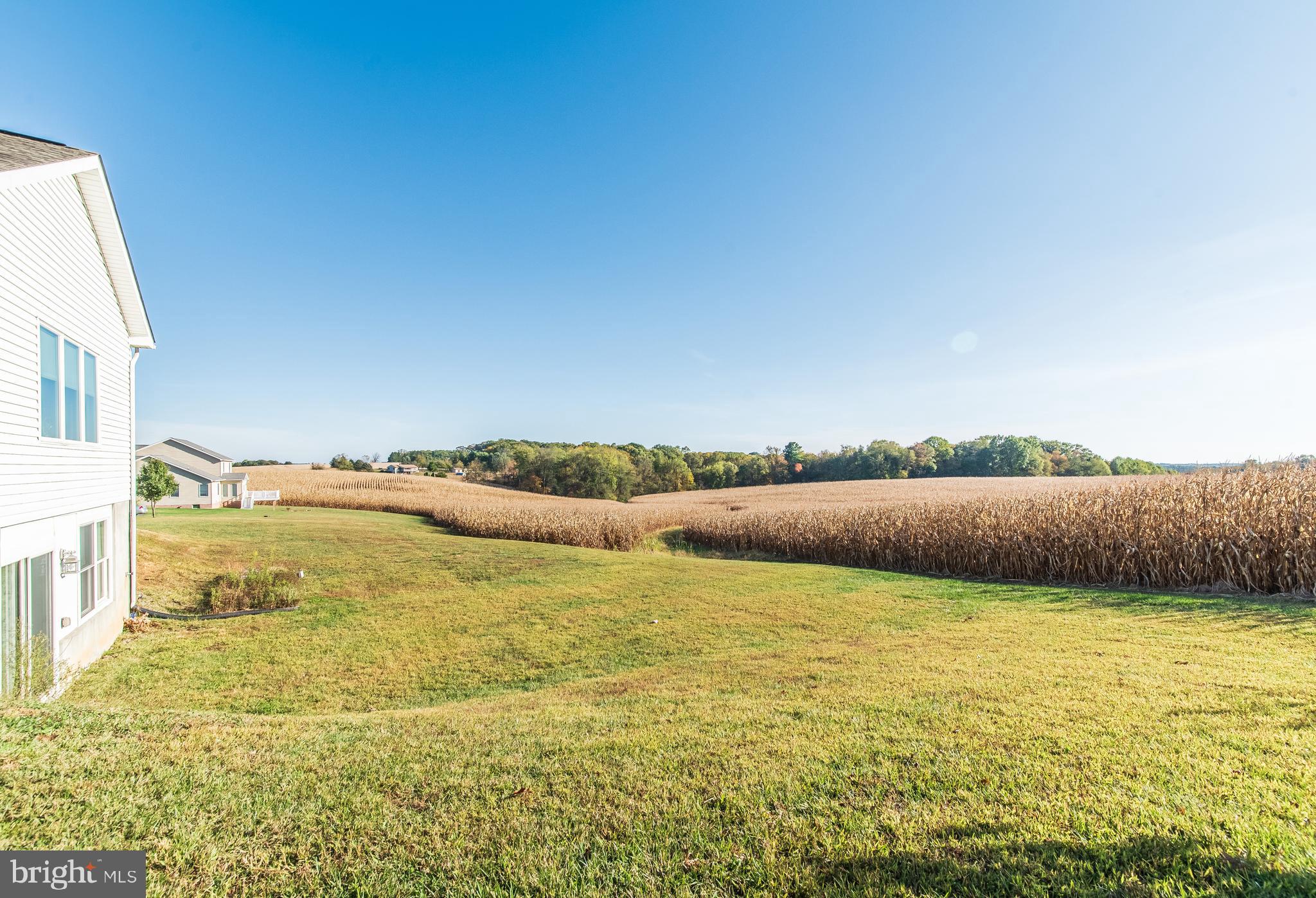 3850 Davis Corner Road Street, MD 21154 - Photo 55 of 57 Peaceful Views
