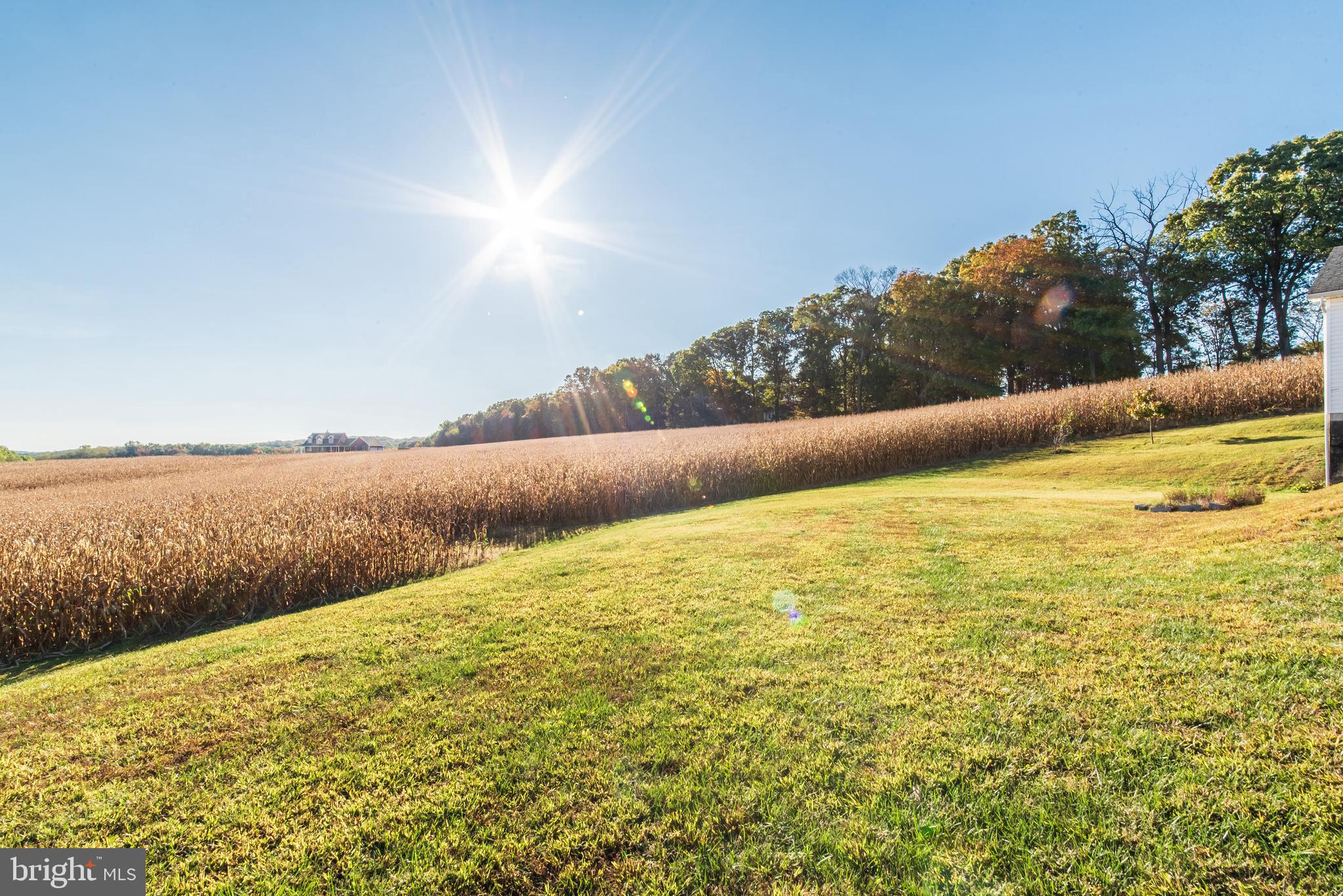 3850 Davis Corner Road Street, MD 21154 - Photo 56 of 57 Peaceful Views