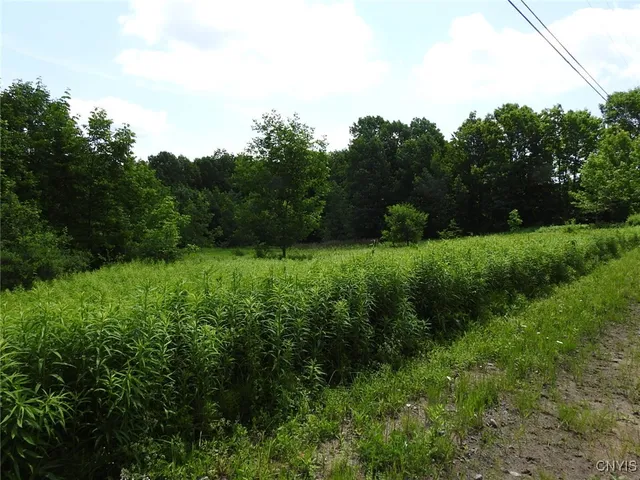 $299,900 | 8227 Freeman Road, Boonville, NY 13309