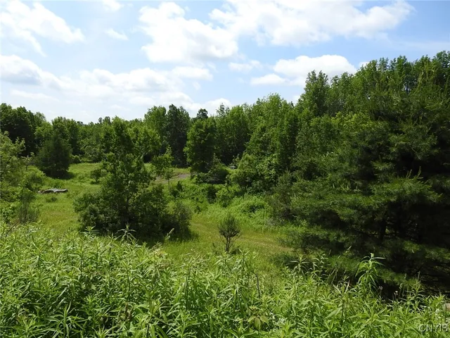 $299,900 | 8227 Freeman Road, Boonville, NY 13309