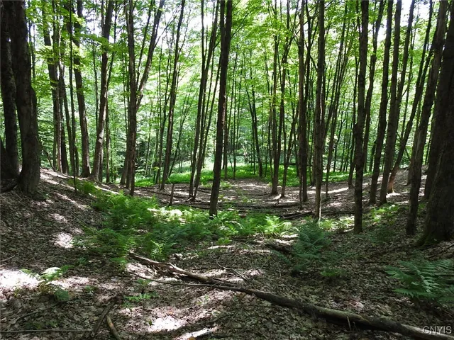 $299,900 | 8227 Freeman Road, Boonville, NY 13309