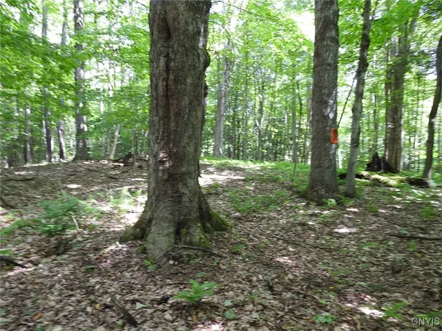 $299,900 | 8227 Freeman Road, Boonville, NY 13309