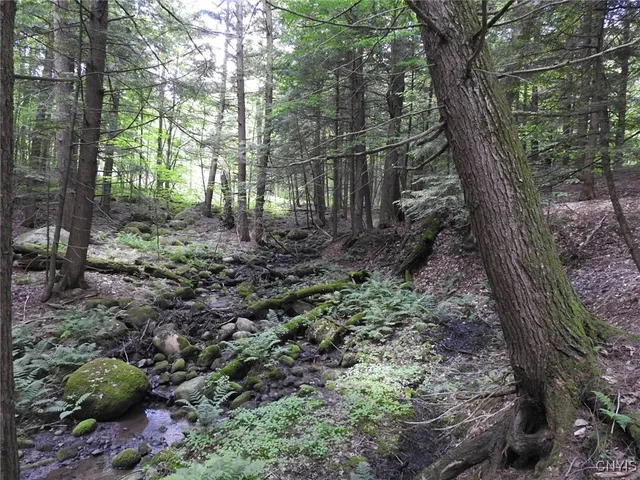 $299,900 | 8227 Freeman Road, Boonville, NY 13309