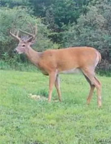 $299,900 | 8227 Freeman Road, Boonville, NY 13309