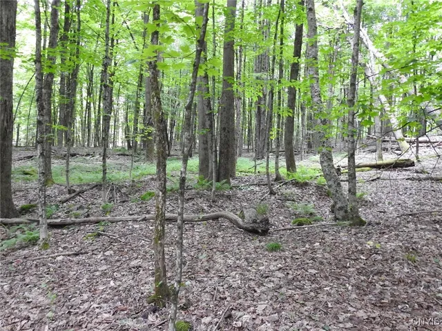 $299,900 | 8227 Freeman Road, Boonville, NY 13309