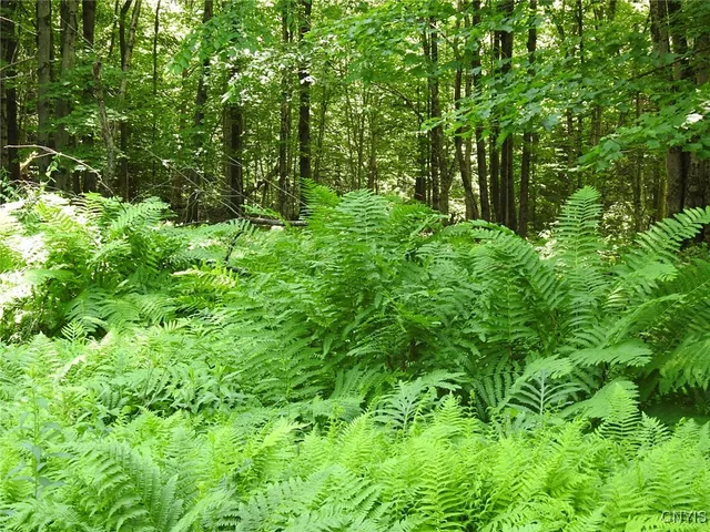 $299,900 | 8227 Freeman Road, Boonville, NY 13309