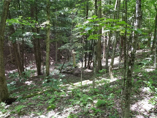 $299,900 | 8227 Freeman Road, Boonville, NY 13309