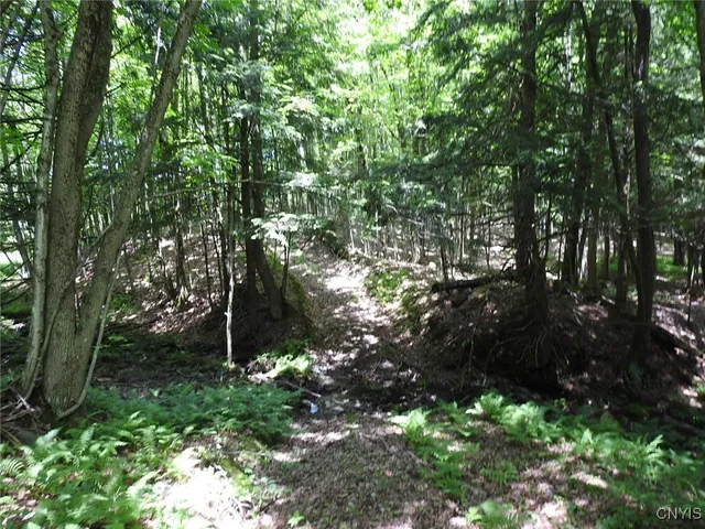 $299,900 | 8227 Freeman Road, Boonville, NY 13309