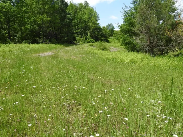 $299,900 | 8227 Freeman Road, Boonville, NY 13309