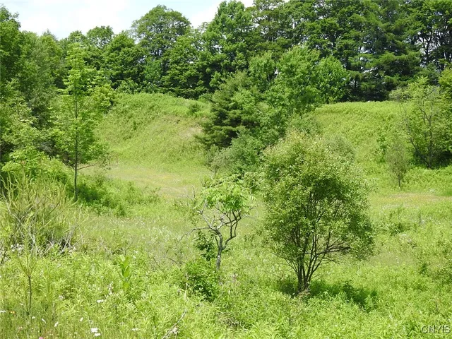 $299,900 | 8227 Freeman Road, Boonville, NY 13309