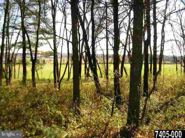 Lot #4 Fairfield Road, Unit 4 Gettysburg, PA 17325 - Photo 3 of 11