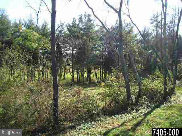 Lot #4 Fairfield Road, Unit 4 Gettysburg, PA 17325 - Photo 4 of 11