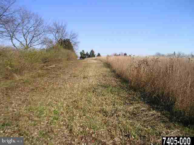Lot #4 Fairfield Road, Unit 4 Gettysburg, PA 17325 - Photo 8 of 11