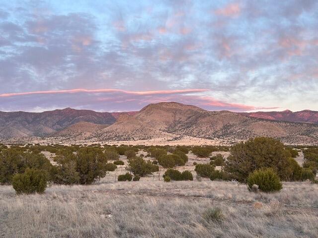 32 Brahman Road Magdalena, NM 87825 - Photo 58 of 59 Gallery Image 58