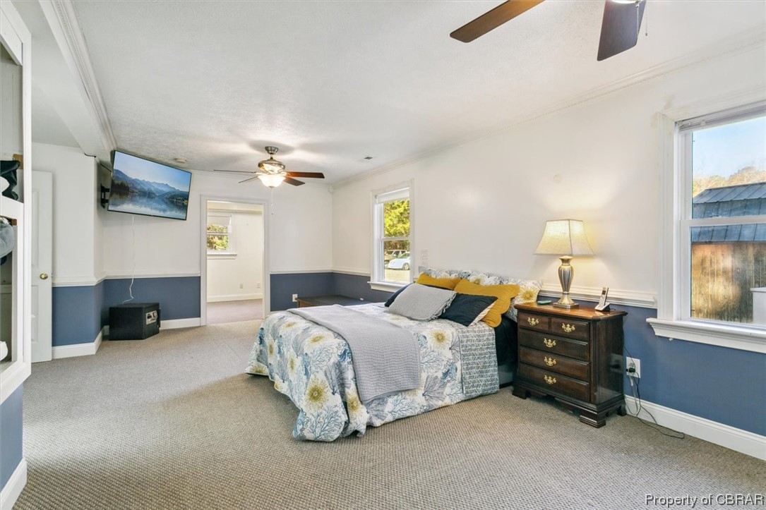 3255 Providence Road Hayes, VA 23072 - Photo 22 of 46 Bedroom with ceiling fan, ornamental molding, and light carpet