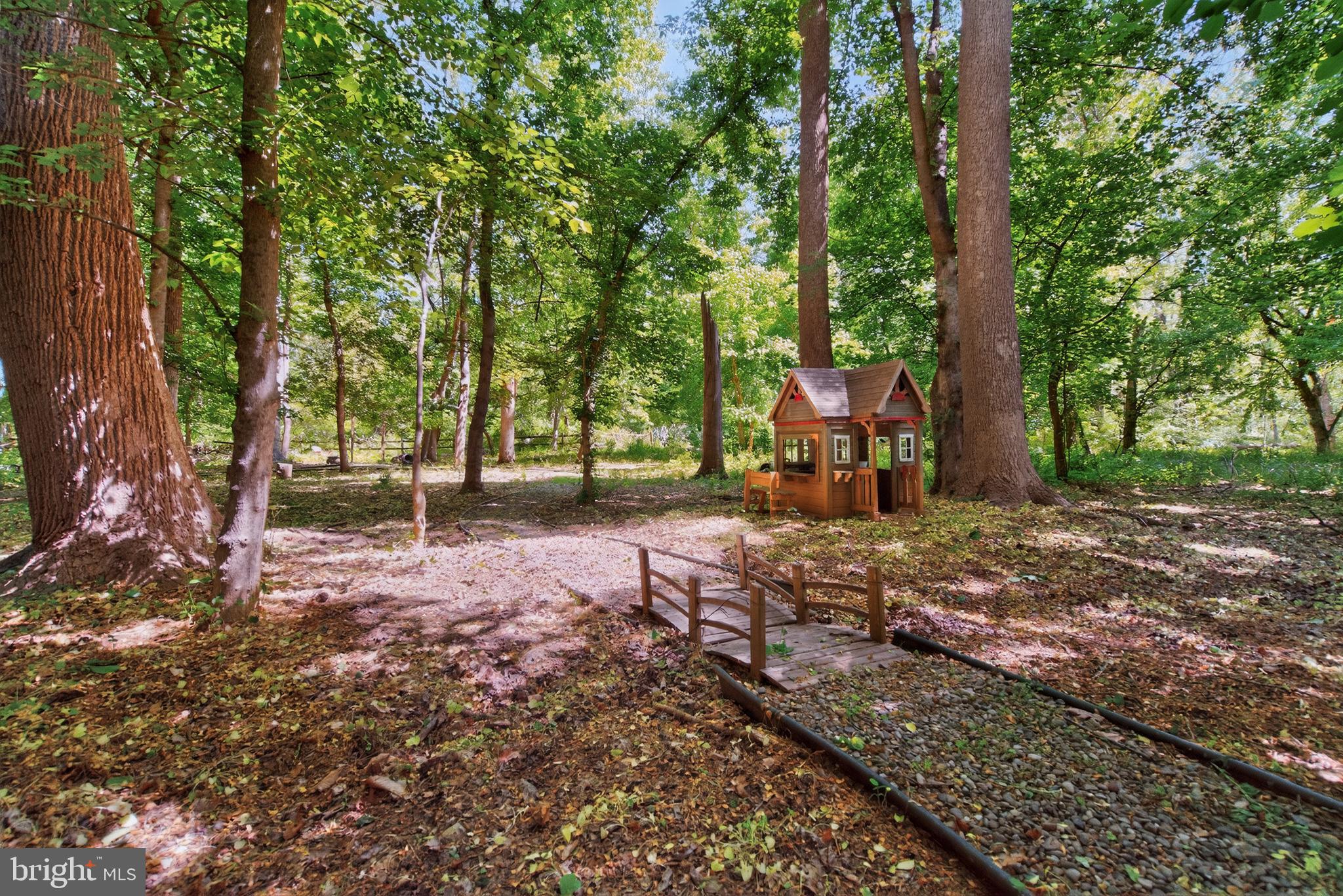 7126 Darby Road Bethesda, MD 20817 - Photo 7 of 84 a backyard of a house with lots of green space