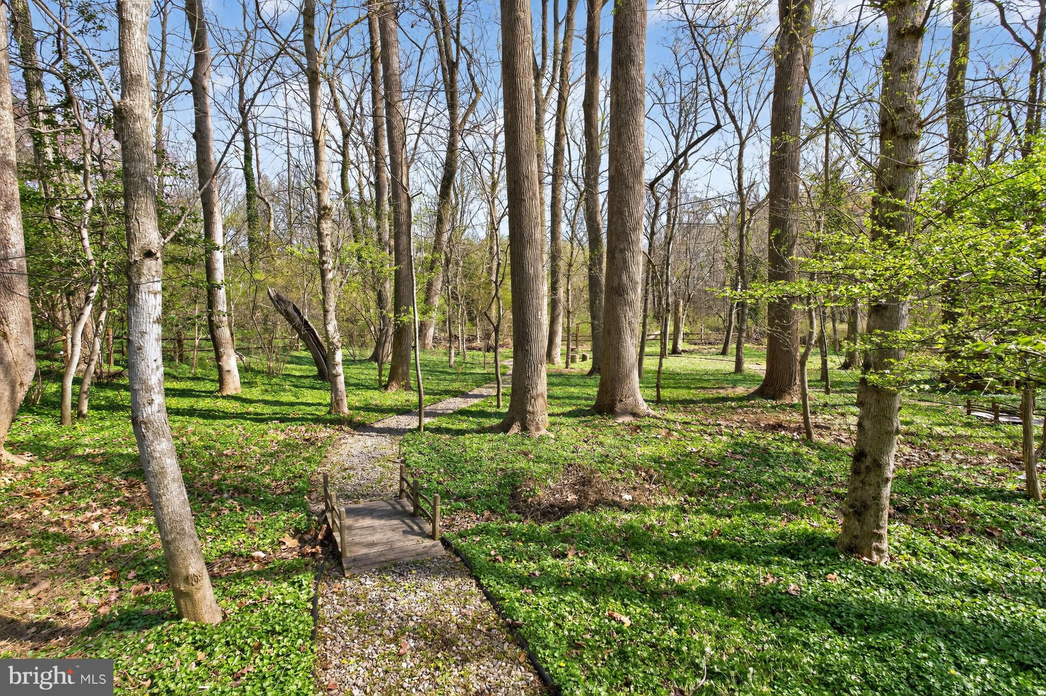 7126 Darby Road Bethesda, MD 20817 - Photo 71 of 79