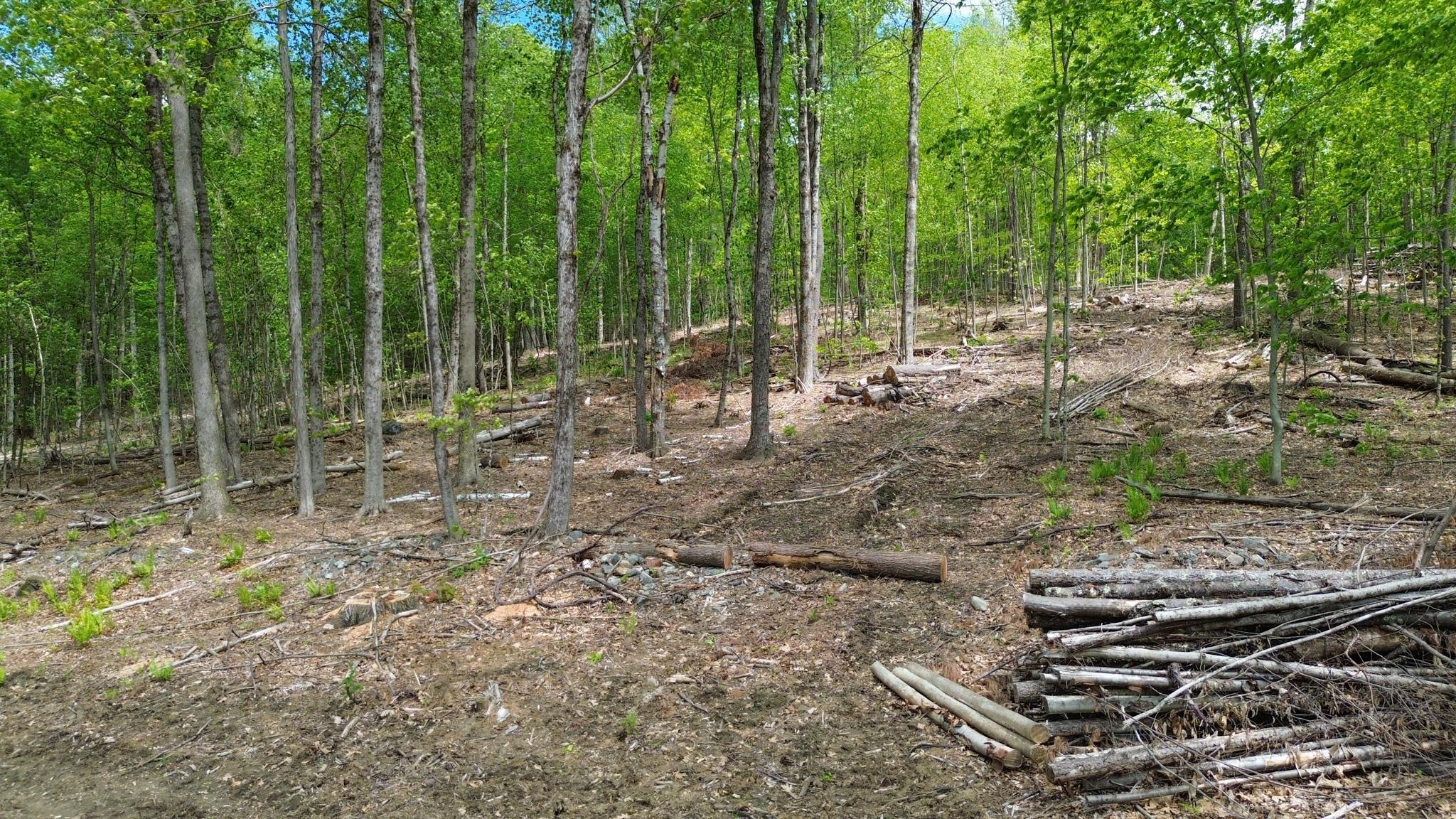Lot 26-4 Plain Road Hinsdale, NH 03451 - Photo 12 of 28