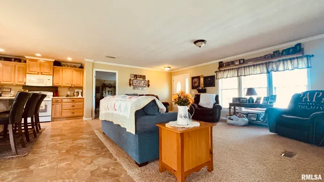 $330,000 | 5197 East Emerson City Road, Scheller, IL 62883