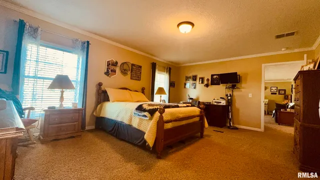 $330,000 | 5197 East Emerson City Road, Scheller, IL 62883