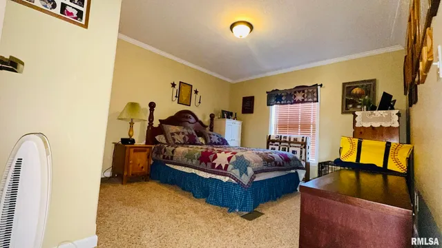 $330,000 | 5197 East Emerson City Road, Scheller, IL 62883