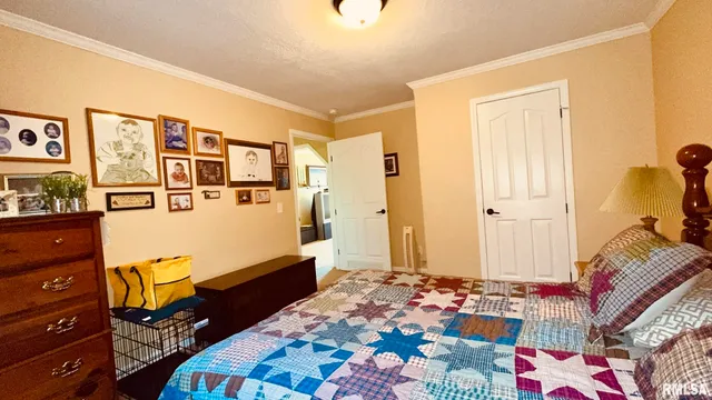 $330,000 | 5197 East Emerson City Road, Scheller, IL 62883