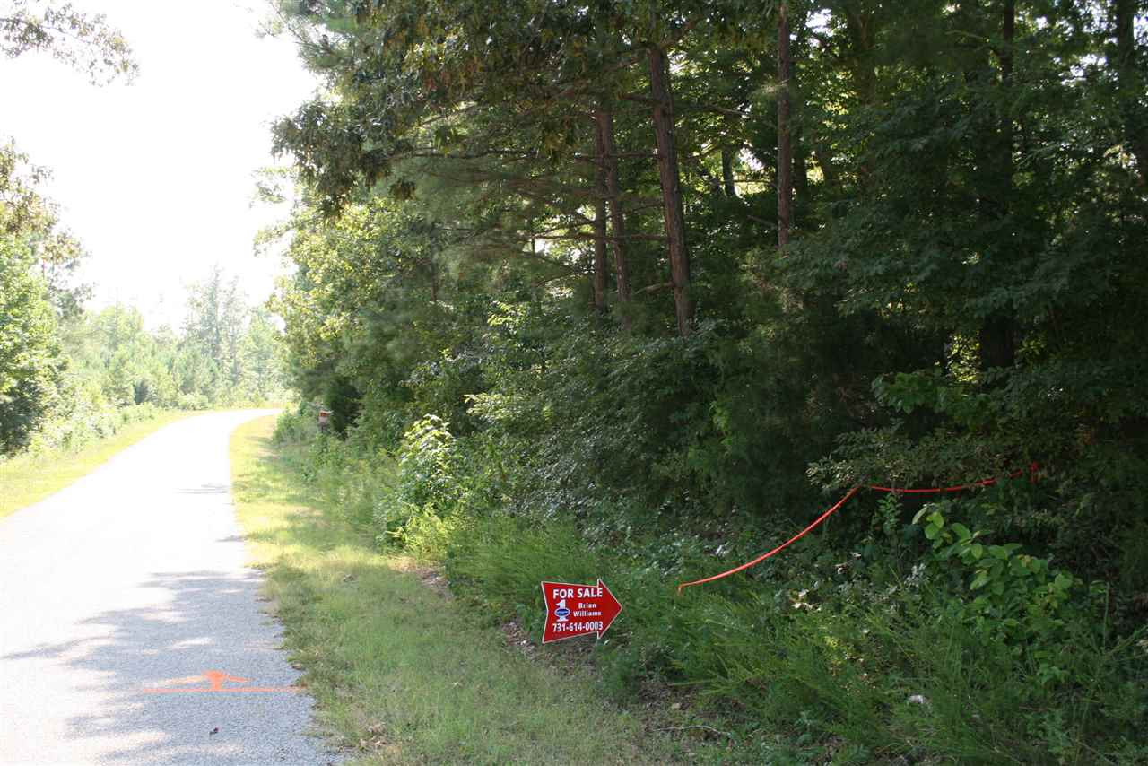 0 Stewart Road Henderson, TN 38340 - Photo 1 of 1 a view of a lush green forest next to a lake
