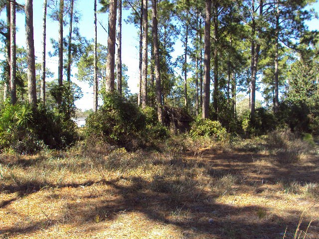 95110 Mobley Heights Road Fernandina Beach, FL 32034 - Photo 3 of 17 Gallery Image 3