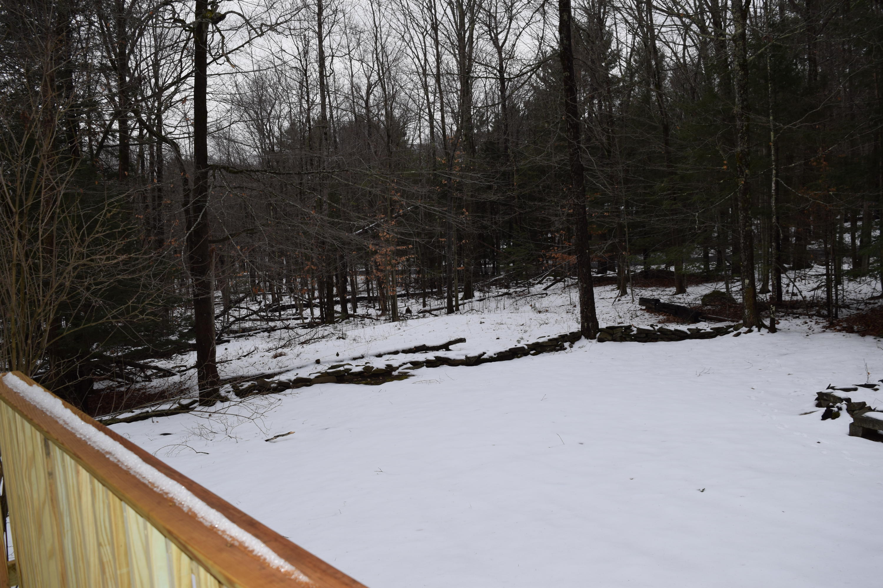 49 Hodsdon Road Pownal, ME 04069 - Photo 16 of 43 Back yard
