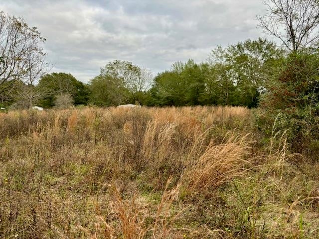 29597 Hammett Road Andalusia, AL 36421 - Photo 3 of 8 Gallery Image 3