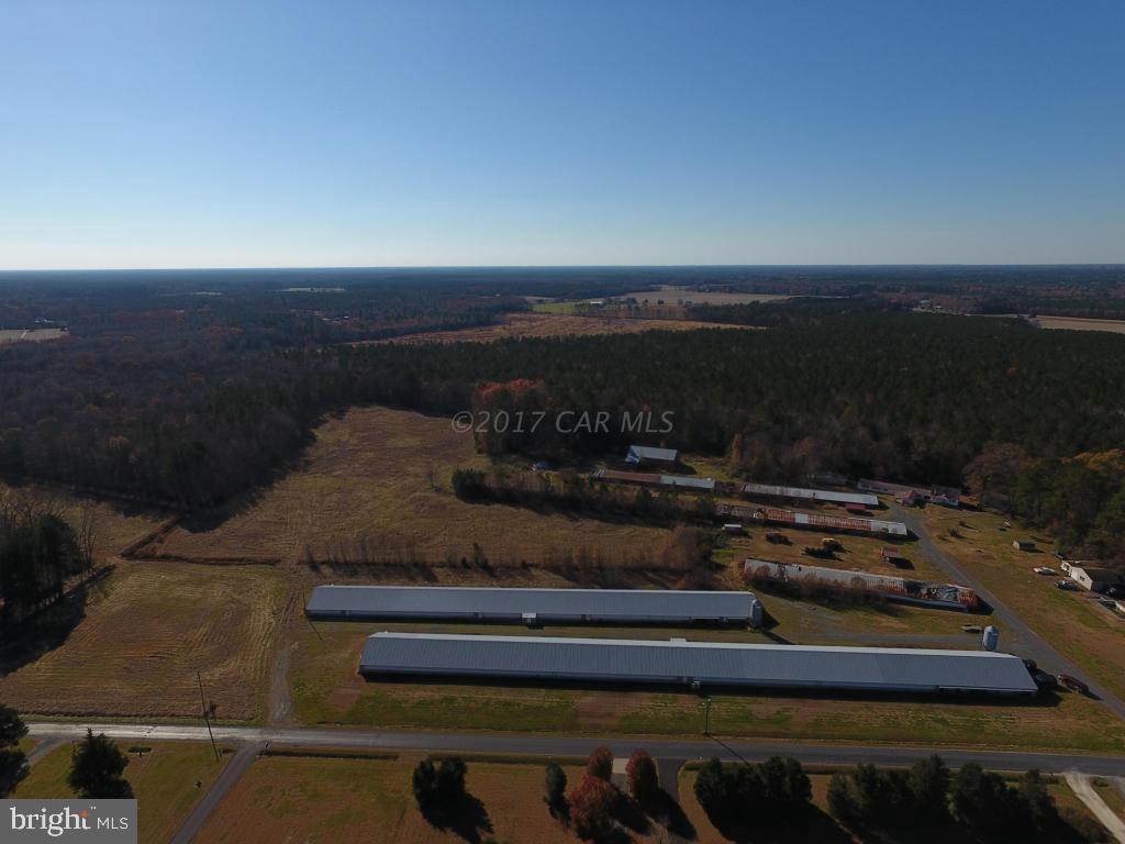 3286 Phillips Road Salisbury, MD 21804 - Photo 17 of 26 Gallery Image 17