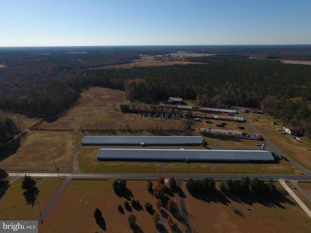 3286 Phillips Road Salisbury, MD 21804 - Photo 20 of 26 Gallery Image 20