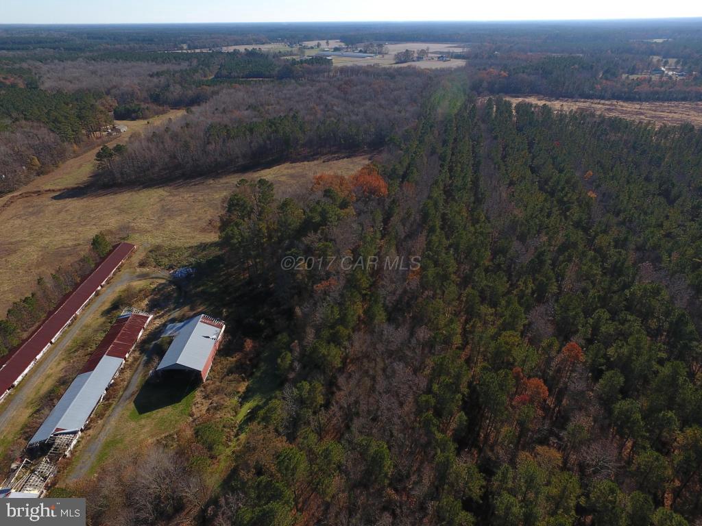 3286 Phillips Road Salisbury, MD 21804 - Photo 22 of 26 Gallery Image 22