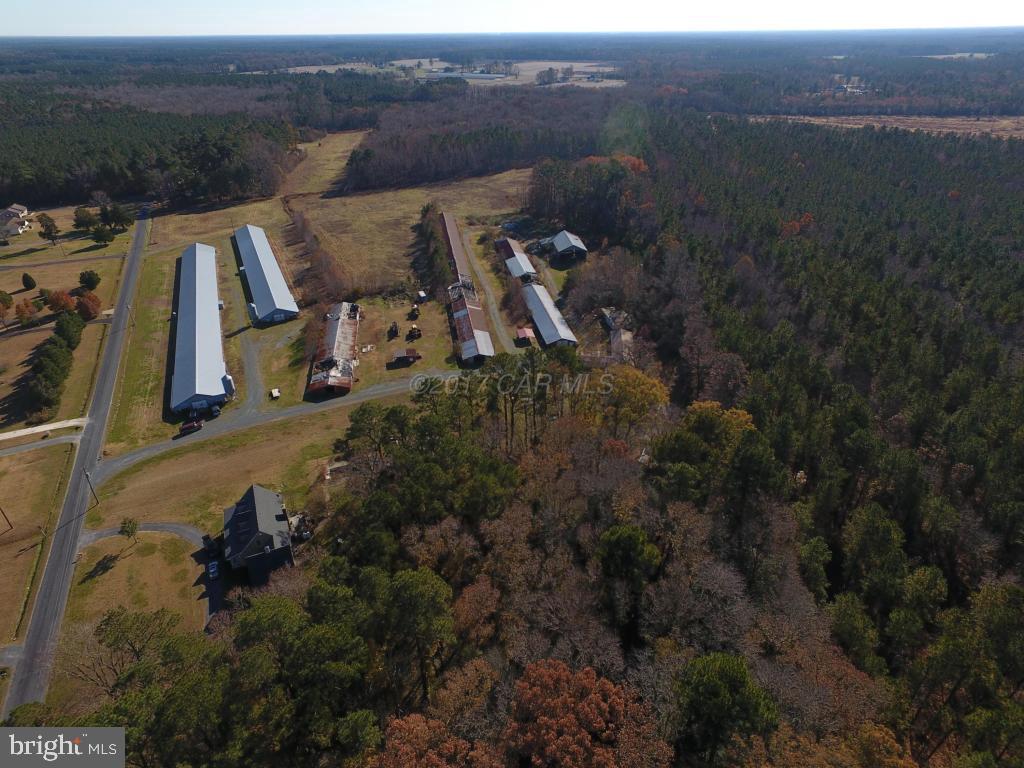 3286 Phillips Road Salisbury, MD 21804 - Photo 23 of 26 Gallery Image 23