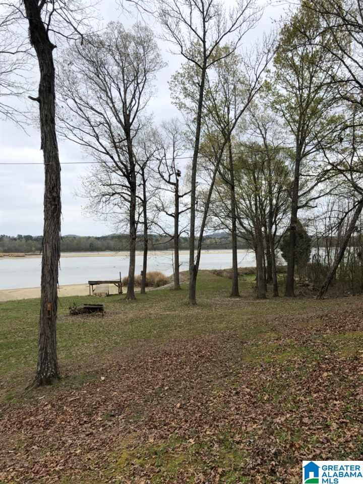 3982 River Ranch Road Ragland, AL 35131 - Photo 5 of 14