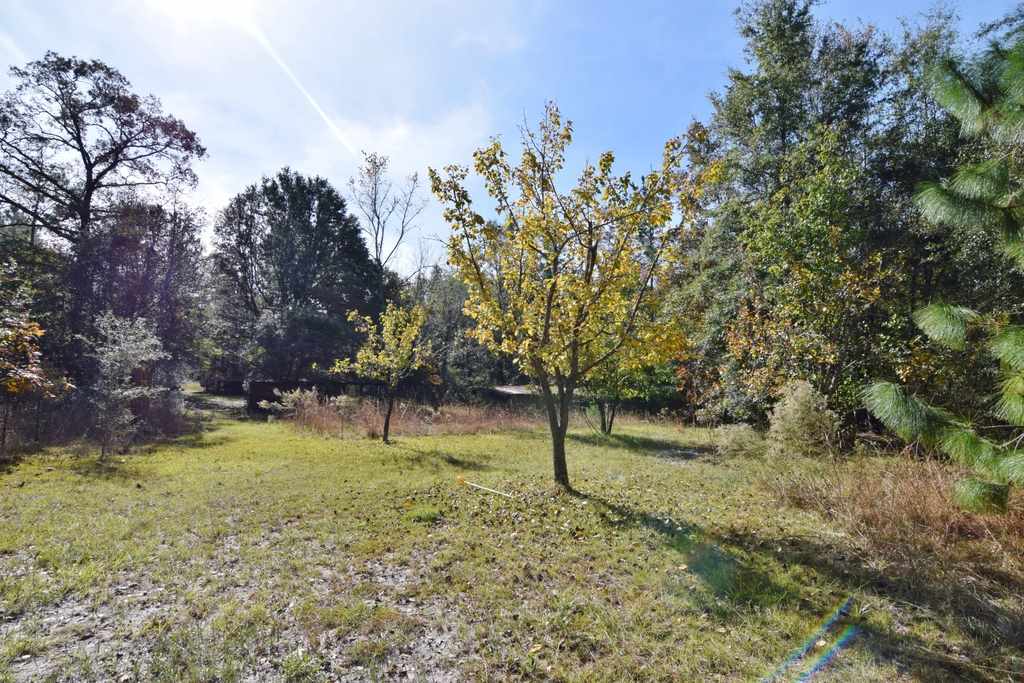 984 Oak Ridge Road East Tallahassee, FL 32305 - Photo 2 of 36