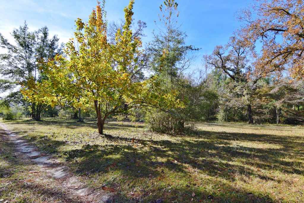 984 Oak Ridge Road East Tallahassee, FL 32305 - Photo 5 of 36